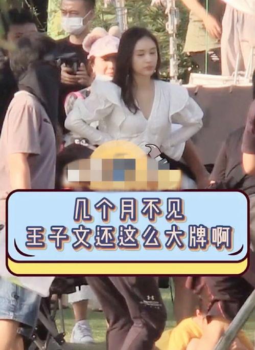 娱记爆料王子文视频,娱记爆料背后的真相